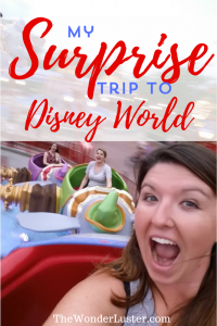 I was so, so thrilled and grateful when my would-be bridesmaids took me on a surprise trip to Disney! Here's a recap of what we did.